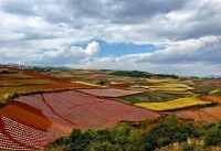 “東川紅土地”壁紙