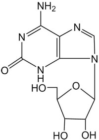 數量性狀