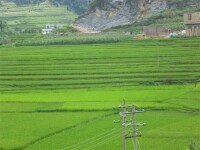 下山村[貴州省普安縣下山村]