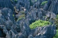 大連濱海國家地質公園