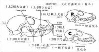 常見問題