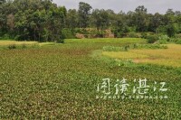 羅州故城遺址