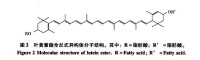 葉黃素酯分子結構圖