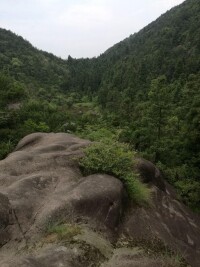 玉蒼山