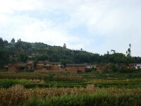 後山村[雲南省昆明市祿勸縣茂山鎮後山村]