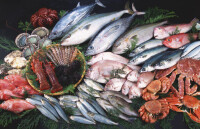 海鮮[海里的可食用的動物性、或植物性原料]