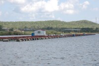 撫遠縣鱘鰉魚繁殖基地