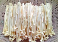 靈壽金針菇