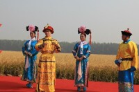 京西稻種植基地清朝文化表演