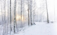 雪景[自然景象]