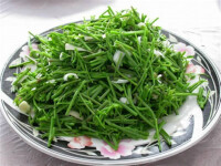 山野菜