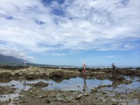 杉原海水浴場