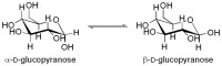 α-與β-D-吡喃葡萄糖之間的變旋。