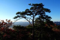 雞冠山森林公園