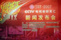 2007CCTV電視劇群英匯
