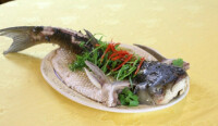 潖江大鯇魚