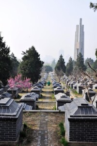 泰安革命烈士陵園風景