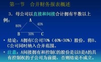 合併會計財務報表概述