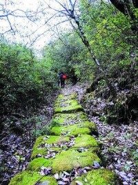 茶鹽古道