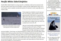 太平洋斑紋海豚英文介紹