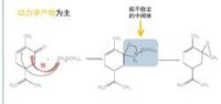 硫葉立德