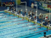 第14屆國際泳聯世界錦標賽相冊