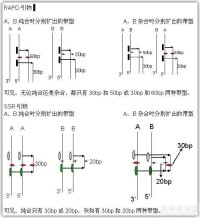 顯性標記