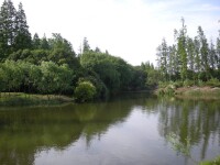 上海濱江森林公園