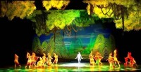 大型壯族歌舞劇《百鳥衣》演出照片