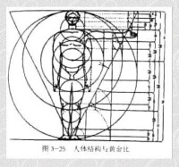 人體的黃金分割比