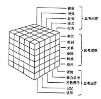 智力三維結構模型