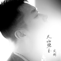 文劍歌曲《天山碧玉》封面