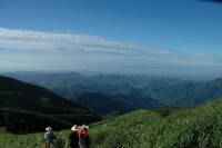 龍山森林公園