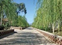 東杏園村[北京市延慶縣大榆樹鎮下轄村]