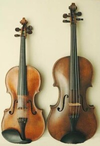 小提琴(左)和中提琴(右)形狀對比
