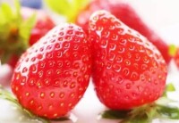 龍口草莓