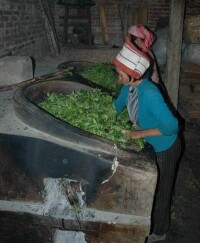 普洱茶製作技藝