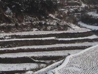 陳漢鄉梯田