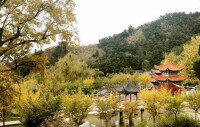 雲霧禪林寺