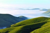 寧夏雲霧山國家級自然保護區