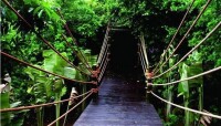 呀諾達雨林文化旅遊區