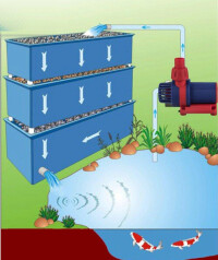 錦鯉魚池過濾系統