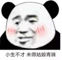 不才