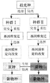 生殖隔離地理隔離