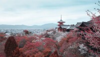 奈良縣景觀