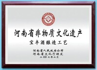 河南省非物質文化遺產
