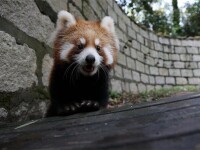 上海野生動物園