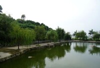 洪田火山郊野公園