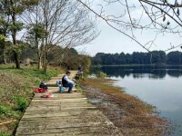 成都釣魚江安湖垂釣