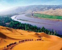 內蒙古 沙漠